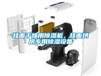 企业新闻挂面干燥用除湿机，挂面烘房专用除湿设备