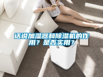 行业新闻话说加湿器和除湿机的作用？是否实用？