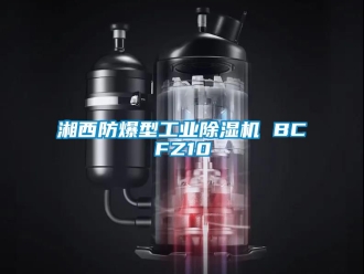 企业新闻湘西防爆型工业除湿机 BCFZ10