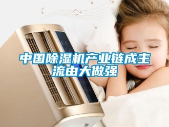 知识百科中国除湿机产业链成主流由大做强