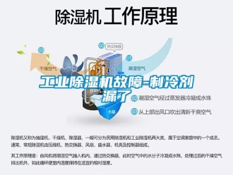 企业新闻工业除湿机故障-制冷剂漏了