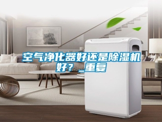 行业新闻空气净化器好还是除湿机好？_重复