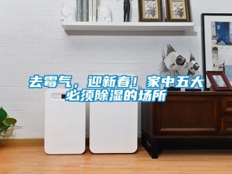 行业新闻去霉气，迎新春！家中五大必须除湿的场所