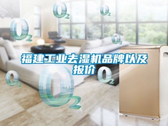 行业新闻福建工业去湿机品牌以及报价