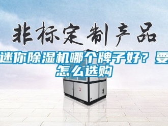 行业新闻迷你除湿机哪个牌子好？要怎么选购