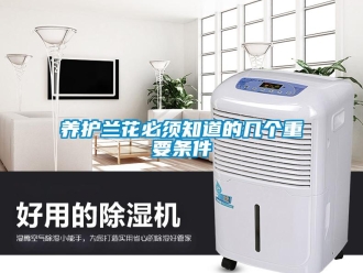 知识百科养护兰花必须知道的几个重要条件