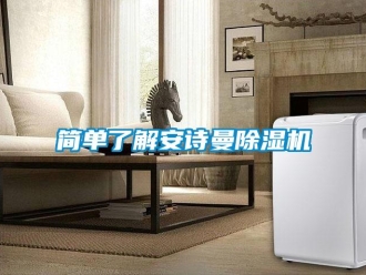 企业新闻简单了解安诗曼除湿机