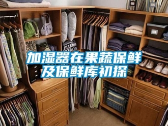 行业新闻加湿器在果蔬保鲜及保鲜库初探