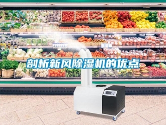 行业新闻剖析新风除湿机的优点