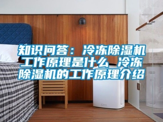 行业新闻知识问答：冷冻除湿机工作原理是什么 冷冻除湿机的工作原理介绍