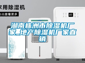 企业新闻湖南株洲市除湿机厂家_地产除湿机厂家直销