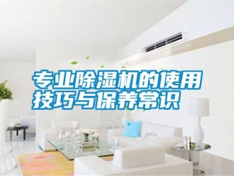 知识百科专业除湿机的使用技巧与保养常识