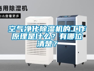 行业新闻空气净化除湿机的工作原理是什么？有哪位清楚？