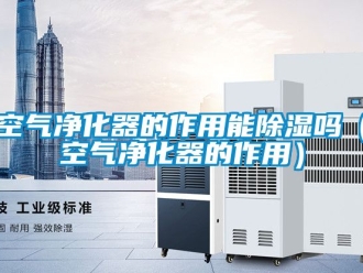 行业新闻空气净化器的作用能除湿吗（空气净化器的作用）