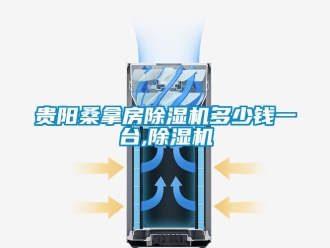 行业新闻贵阳桑拿房除湿机多少钱一台,除湿机