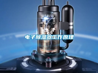 行业新闻电子除湿器工作原理