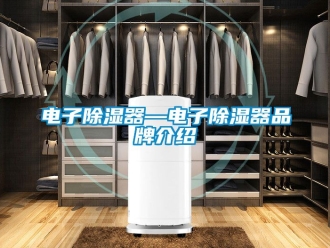 行业新闻电子除湿器—电子除湿器品牌介绍