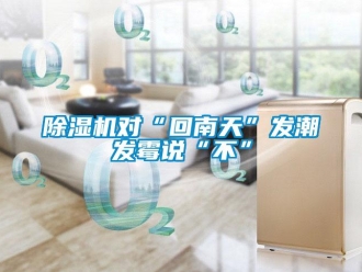 企业新闻除湿机对“回南天”发潮发霉说“不”