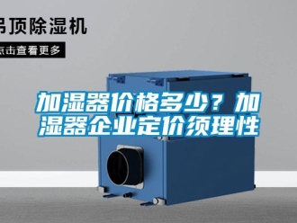 行业新闻加湿器价格多少？加湿器企业定价须理性