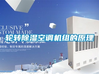 行业新闻轮转除湿空调机组的原理
