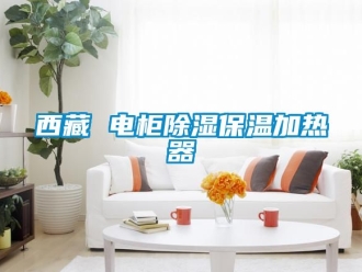 行业新闻西藏 电柜除湿保温加热器