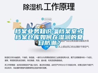 企业新闻档案业务知识：档案室或档案仓库如何在湿润的夏日防潮？