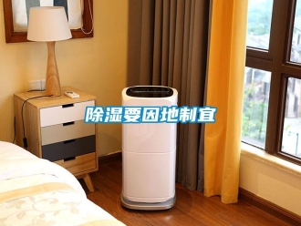 企业新闻除湿要因地制宜