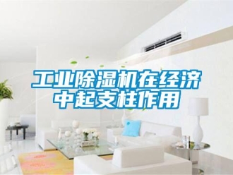 企业新闻工业除湿机在经济中起支柱作用