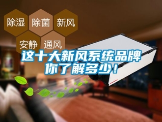 企业新闻这十大新风系统品牌你了解多少！