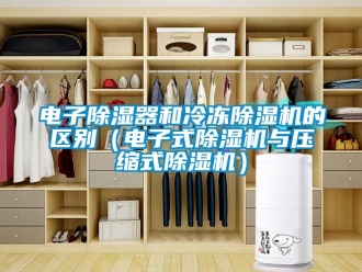 行业新闻电子除湿器和冷冻除湿机的区别（电子式除湿机与压缩式除湿机）