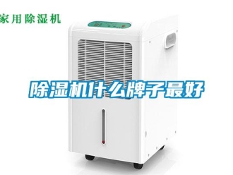 企业新闻除湿机什么牌子最好