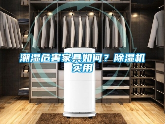 企业新闻潮湿危害家具如何？除湿机实用