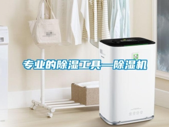 知识百科专业的除湿工具—除湿机