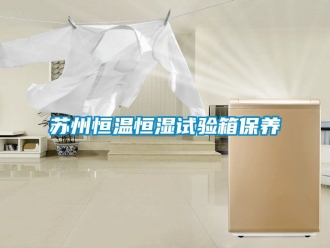 知识百科苏州恒温恒湿试验箱保养