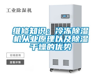 行业新闻维修知识：冷冻除湿机从业原理以及除湿干燥的优势