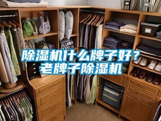 企业新闻除湿机什么牌子好？老牌子除湿机