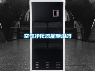 行业新闻空气净化器能除湿吗
