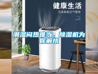 企业新闻潮湿闷热难当，除湿机为你解忧