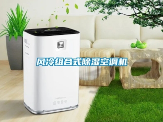 行业新闻风冷组合式除湿空调机