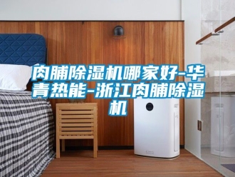 行业新闻肉脯除湿机哪家好-华青热能-浙江肉脯除湿机