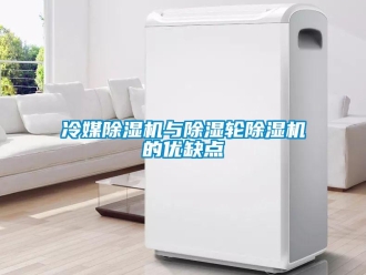 行业新闻冷媒除湿机与除湿轮除湿机的优缺点