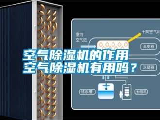 行业新闻空气除湿机的作用 空气除湿机有用吗？
