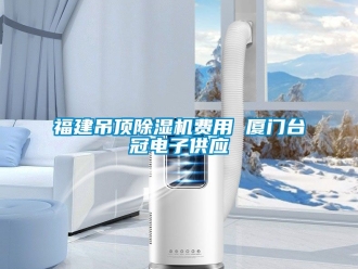 行业新闻福建吊顶除湿机费用 厦门台冠电子供应