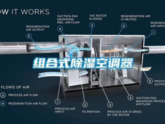 行业新闻组合式除湿空调器
