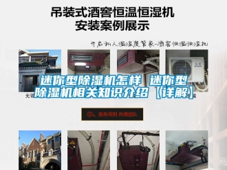 行业新闻迷你型除湿机怎样 迷你型除湿机相关知识介绍【详解】