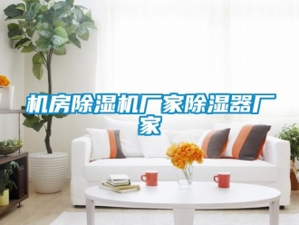 企业新闻机房除湿机厂家除湿器厂家