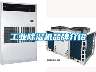 企业新闻工业除湿机品牌介绍