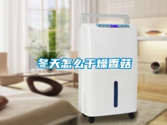 常见问题冬天怎么干燥香菇