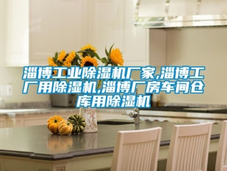 企业新闻淄博工业除湿机厂家,淄博工厂用除湿机,淄博厂房车间仓库用除湿机