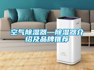 行业新闻空气除湿器—除湿器介绍及品牌推荐